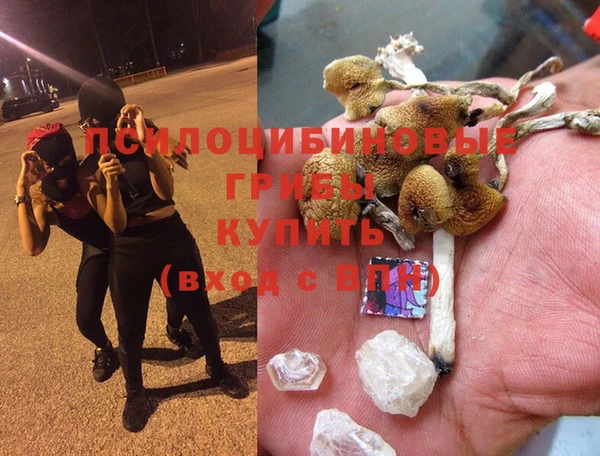мдпв Алзамай