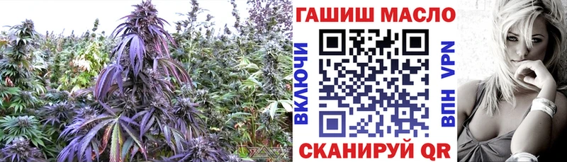 Дистиллят ТГК THC oil  закладка  Находка 